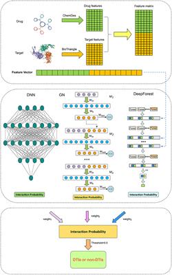 Identifying potential drug-target interactions based on ensemble deep learning